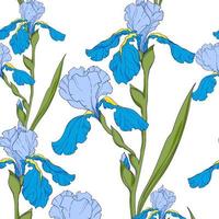 blauw irissen, Afdeling met bloemen, naadloos vector patroon. tekening bloemen Aan een wit achtergrond