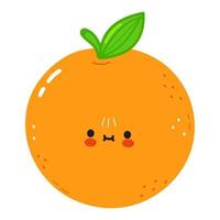 schattig grappig oranje fruit karakter. vector hand- getrokken tekenfilm kawaii karakter illustratie. geïsoleerd wit achtergrond. oranje fruit