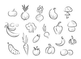 voedsel schets illustratie. vector groenten collectie