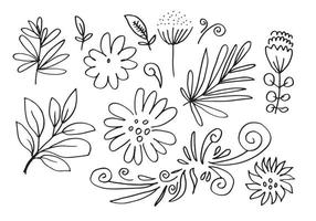 een verzameling handgetekende bloemenafbeeldingen zoals klokjesbloem, chrysanten, zonnebloemen, katoenen bloemen en tropische bladeren vector