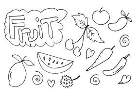 tekening hand- getrokken verzameling van fruit.line tekening.vector illustratie. vector