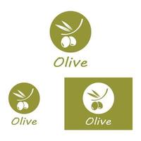 olijf- olie logo natuur vector