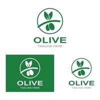 olijf- olie logo natuur vector