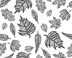 herfst bladeren patroon, naadloos achtergrond en illustratie vector