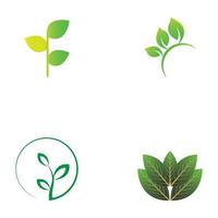 blad boom groen logo vector