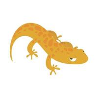 salamander amfibie dier vector