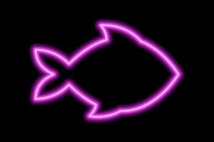 neon roze silhouet van vis Aan een zwart achtergrond. zee leven, oceaan vector