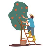 meisje oogsten appels. fruit boom. rijp rood appels mand . vrouw boer karakter tekenfilm vlak illustratie vector.picking appel. vector