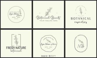 botanische bloemen element hand getekende logo met wilde bloemen en bladeren. logo voor spa en schoonheidssalon, boetiek, biologische winkel, bruiloft, floral designer, interieur, fotografie, cosmetica. vector