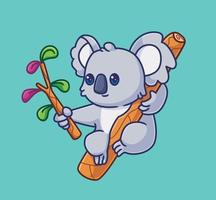 schattig tekenfilm koala hangende Aan boom Holding Afdeling. geïsoleerd tekenfilm dier illustratie vector