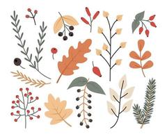 herfst takjes, bladeren en bessen zijn een warm schattig set. eik, esdoorn, bes, wild roos, vogel kers, sparren. vector illustratie van vallend voor ontwerp en decor.