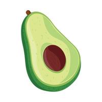 avocado gezond voedsel vector