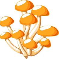 honing schimmel champignons. vector