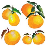 mandarijn- en citroen fruit Aan takken met gebladerte, illustraties van citrus fruit vector