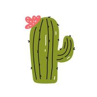 schattige cactus met een bloem geïsoleerd op een witte achtergrond. vectorillustratie in handgetekende vlakke stijl. perfect voor kaarten, logo, decoraties, verschillende ontwerpen. botanische illustraties. vector