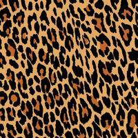luipaard, Jachtluipaard en jaguar afdrukken naadloos patroon. dier huid afdrukken naadloos patroon ontwerp. vector