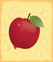 realistisch appel fruit poster vector