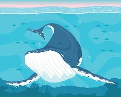 walvis vis onderzees tafereel vector