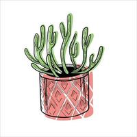 cactus in bloempotten kleurrijk vlak illustratie geïsoleerd O wit vector