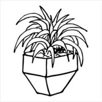 schattige handgetekende kamerplant in een pot clipart. plant illustratie. gezellige huiskrabbel vector