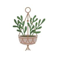 plant in hangpot. kamerplant hang op touw, decoratieve kamerplant, vector