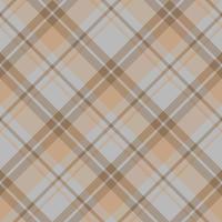 naadloos patroon in elegant grijs en licht bruin kleuren voor plaid, kleding stof, textiel, kleren, tafelkleed en andere dingen. vector afbeelding. 2