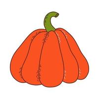 schattig pompoen. dankzegging en halloween element. vector illustratie in hand- getrokken stijl