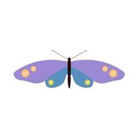 vlinder top visie vector decoratie dieren in het wild Vleugels icoon. illustratie vorm insect exotisch tekenfilm