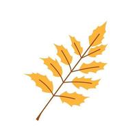 vector geel blad. schattig herfst blad. Afdeling met goud bladeren. val.