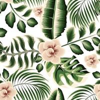 groen banaan palm bladeren naadloos patroon met monstera planten blad en roze bloemen planten gebladerte Aan wit achtergrond. bloemen achtergrond. natuur behang. tropisch achtergrond. oerwoud illustratie vector