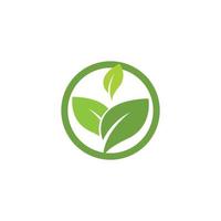 groen blad logo sjabloon vector pictogram