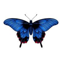 blauw zwaluwstaart vlinder - blauw vlinder vector illustratie - blauw Morpho vlinder