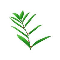 groen blad - manfaat daun katuk - fabriek bladeren vector