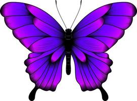 tropisch Purper vlinder illustratie - mooi vlinder vector