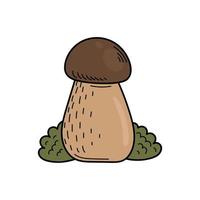 schattig eetbaar paddestoel in tekening stijl. ingrediënten voor Koken, salades. herfst fabriek oogsten. vector hand- illustratie