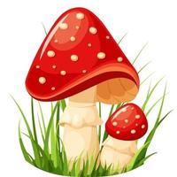 helder vlieg agaric in gras tekenfilm stijl vector