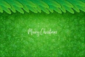 Kerstmis groen Spar abstract achtergrond met sneeuwvlokken in realistisch stijl. vector