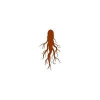 ginseng icoon draak logo achtergrond, vector illustratie sjabloon ontwerp