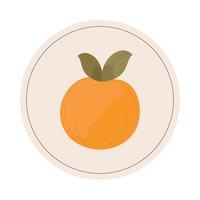 oranje fruit icoon vector