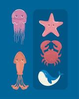 pictogrammen zee leven dieren vector