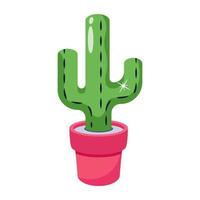 een modern cactus icoon in vlak ontwerp vector