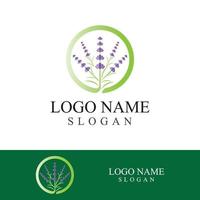 verse lavendel bloem logo vector