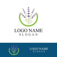 verse lavendel bloem logo vector