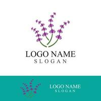 verse lavendel bloem logo vector