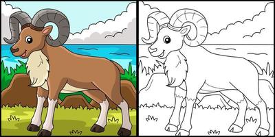 urial dier kleur bladzijde gekleurde illustratie vector