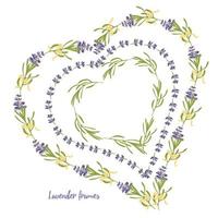 reeks paars lavendel mooi bloemen kaders sjabloon in vlak waterverf stijl geïsoleerd Aan wit achtergrond voor decoratief ontwerp, bruiloft kaart, uitnodiging, reizen fladder. botanisch illustratie vector
