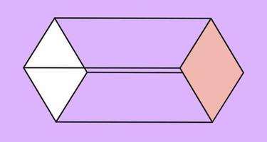 isometrische parallellepipedum. meetkundig vorm geven aan. vector