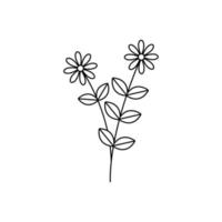 hand- getrokken bloem sjabloon vector