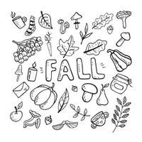 vector vlak illustratie Aan een herfst thema paddestoelen, groenten, bladeren, schattig attributen. tekening voorwerpen zijn besnoeiing uit.