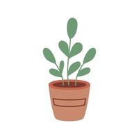 kamerplant in pot vector